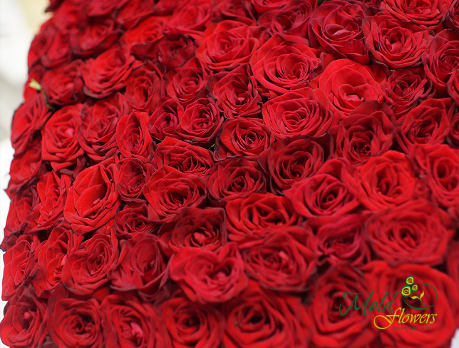 Сердце из 151 розы (под заказ, 10 дней ) Фото